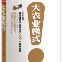 大农业模式