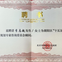“十五五”规划专家咨询委员会顾问